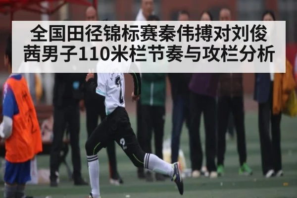 全国田径锦标赛秦伟搏对刘俊茜男子110米栏节奏与攻栏分析